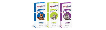 Bravecto® Spot-On para gato