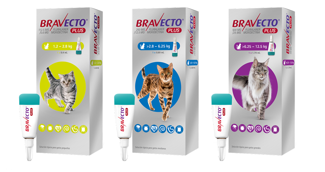 Bravecto® Plus