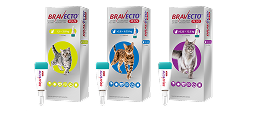 Bravecto® Plus para gato